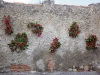 madonnina_ago2011-103